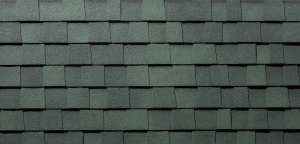 Everest shingles